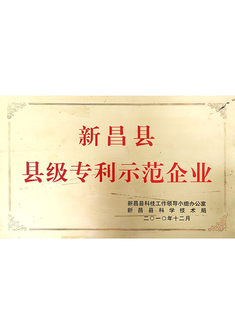 县级专利示范企业